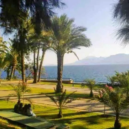 Pasha - Floor Antalya