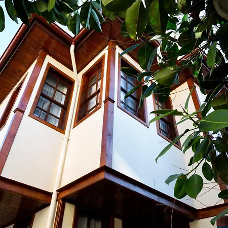 Pasha - Floor Antalya