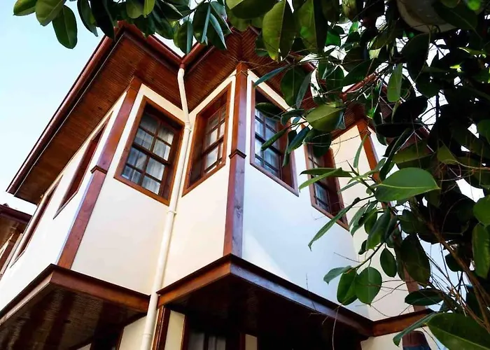 Pasha - Floor * アンタルヤ