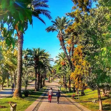 Lägenhet Pasha - Floor *