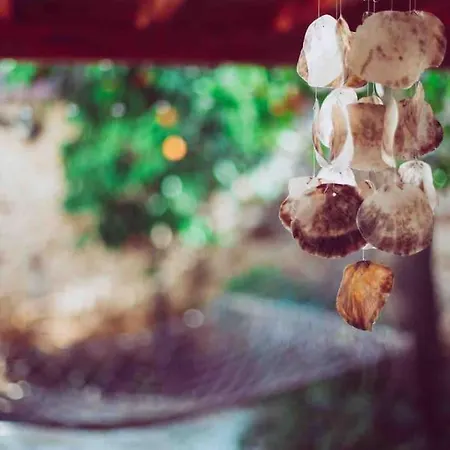 Lägenhet Pasha - Floor Antalya