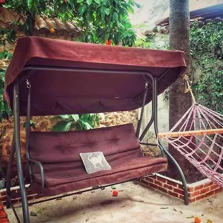 Pasha - Floor Apartamento