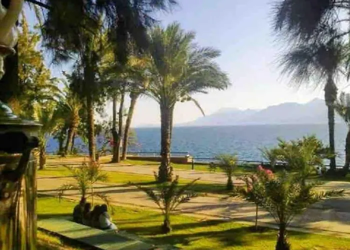 Pasha - Floor Antália