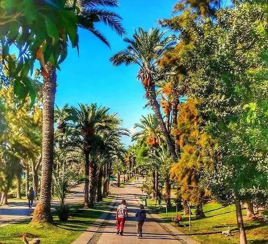 Apartamento Pasha - Floor *