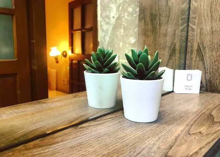 Pasha - Floor Antália