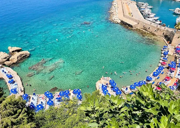 Lejlighed Pasha - Floor