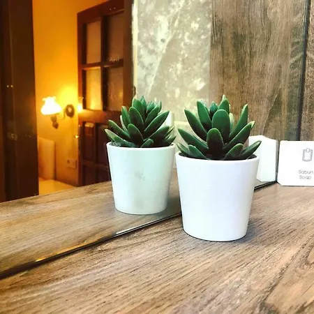 Pasha - Floor Antalya